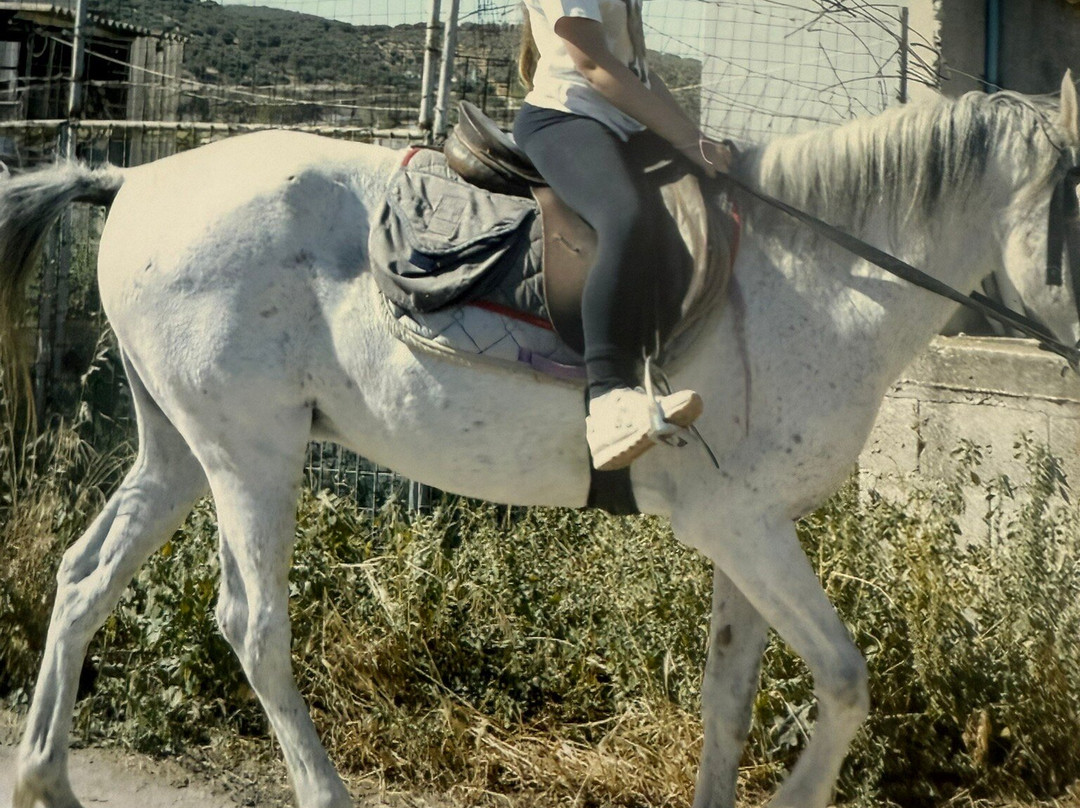 Hersonissos Horseriding-Finikia必去景点