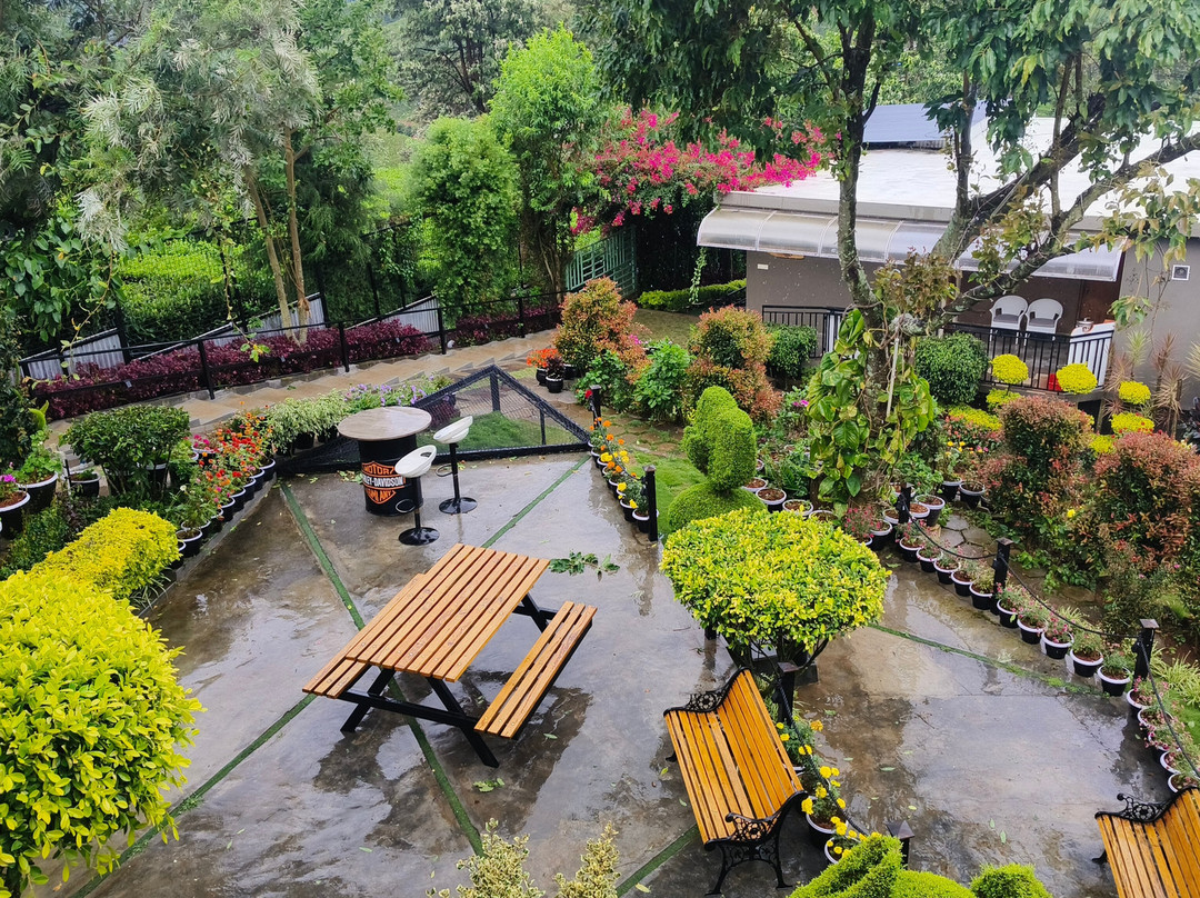 Sunvalley Homestay主图