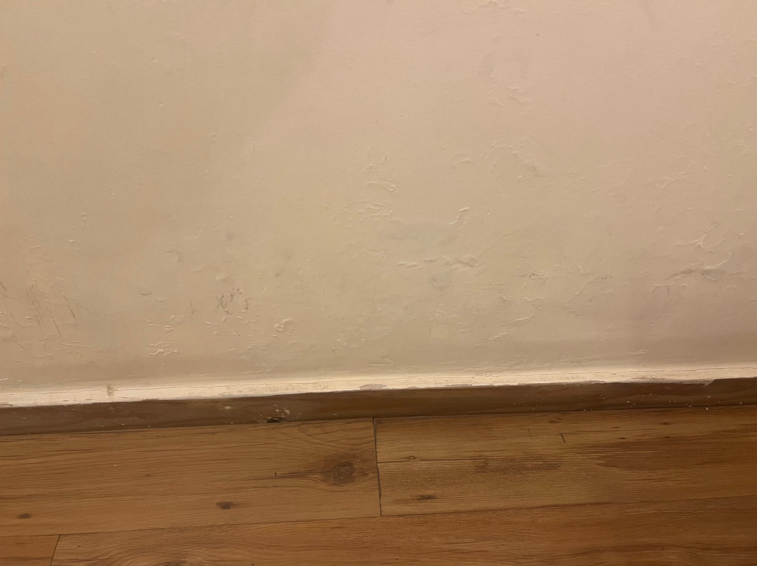 Clarks Exotica Resort主图