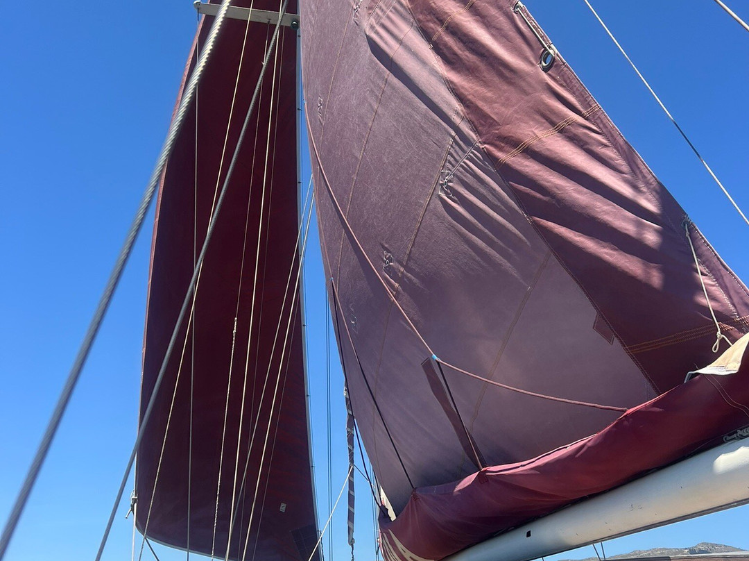 Tudor  Dawn Sailing Charters-波连萨必去景点