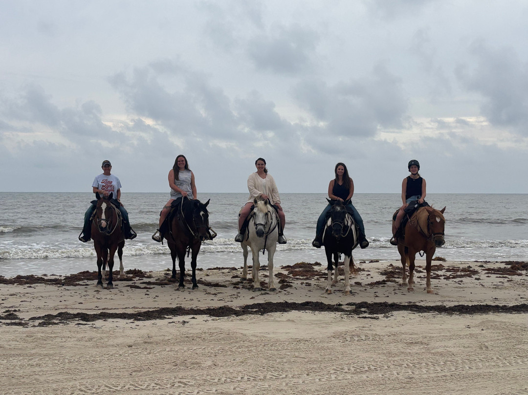 Broke A Toe Horseback Riding on the Beach-Cape San Blas必去景点