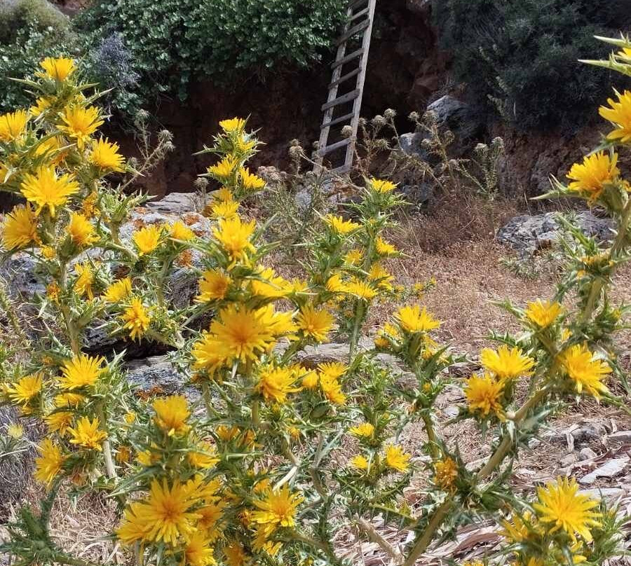 Experience Kythnos-Kithnos Town必去景点