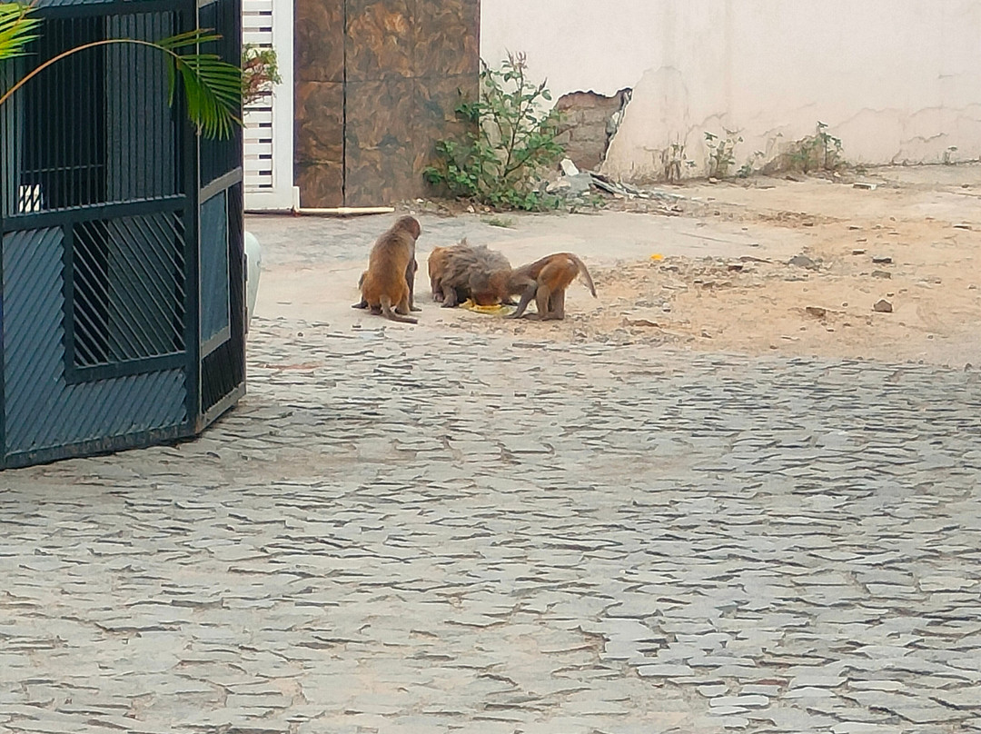 Spree Hotel Kriday Dehradun主图