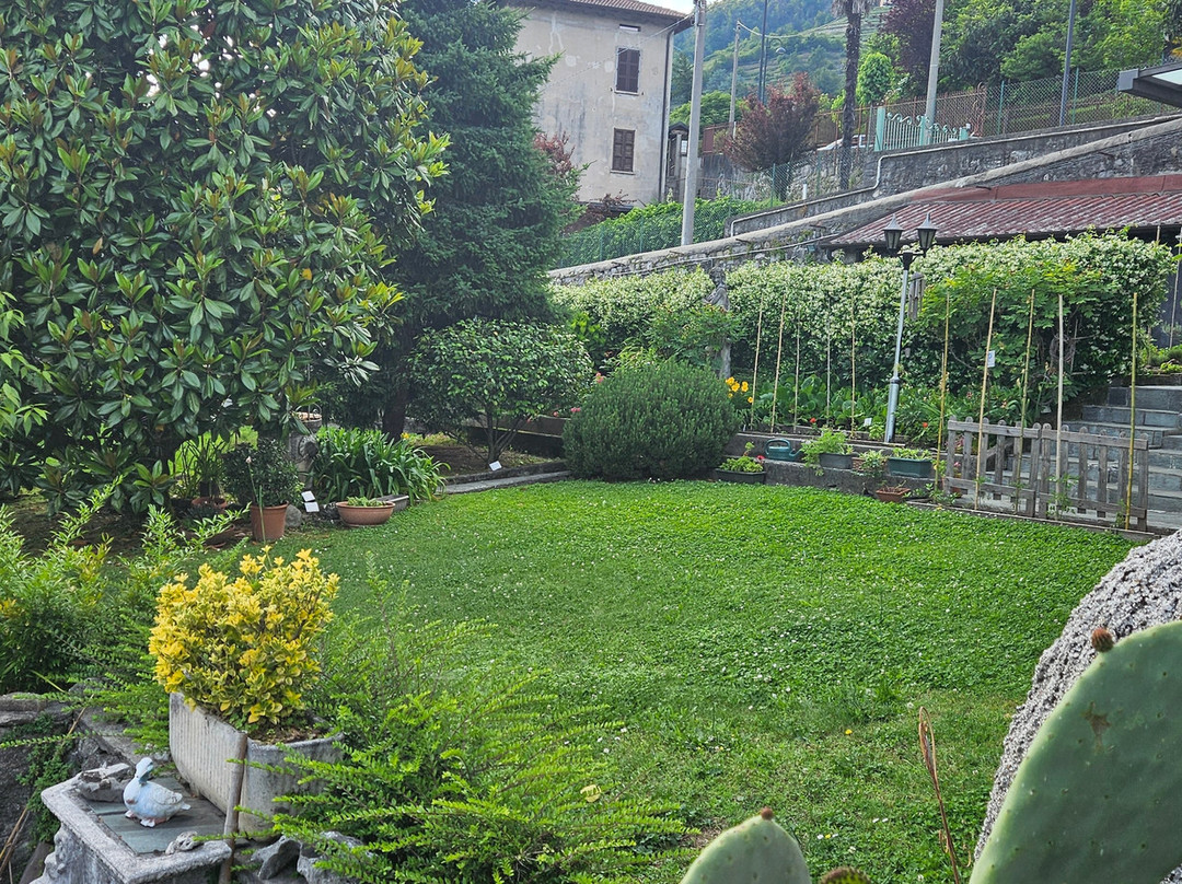 Il Giardino Botanico Bed and Breakfast主图