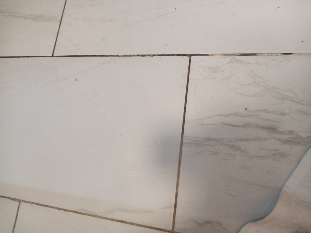 Magnuson Grand Hotel and Conference Center - Tyler主图