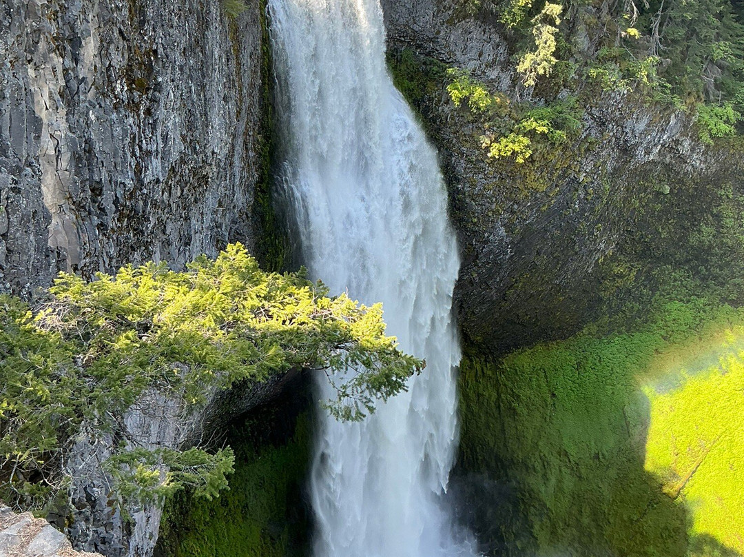 Salt Creek Falls-Oakridge必去景点
