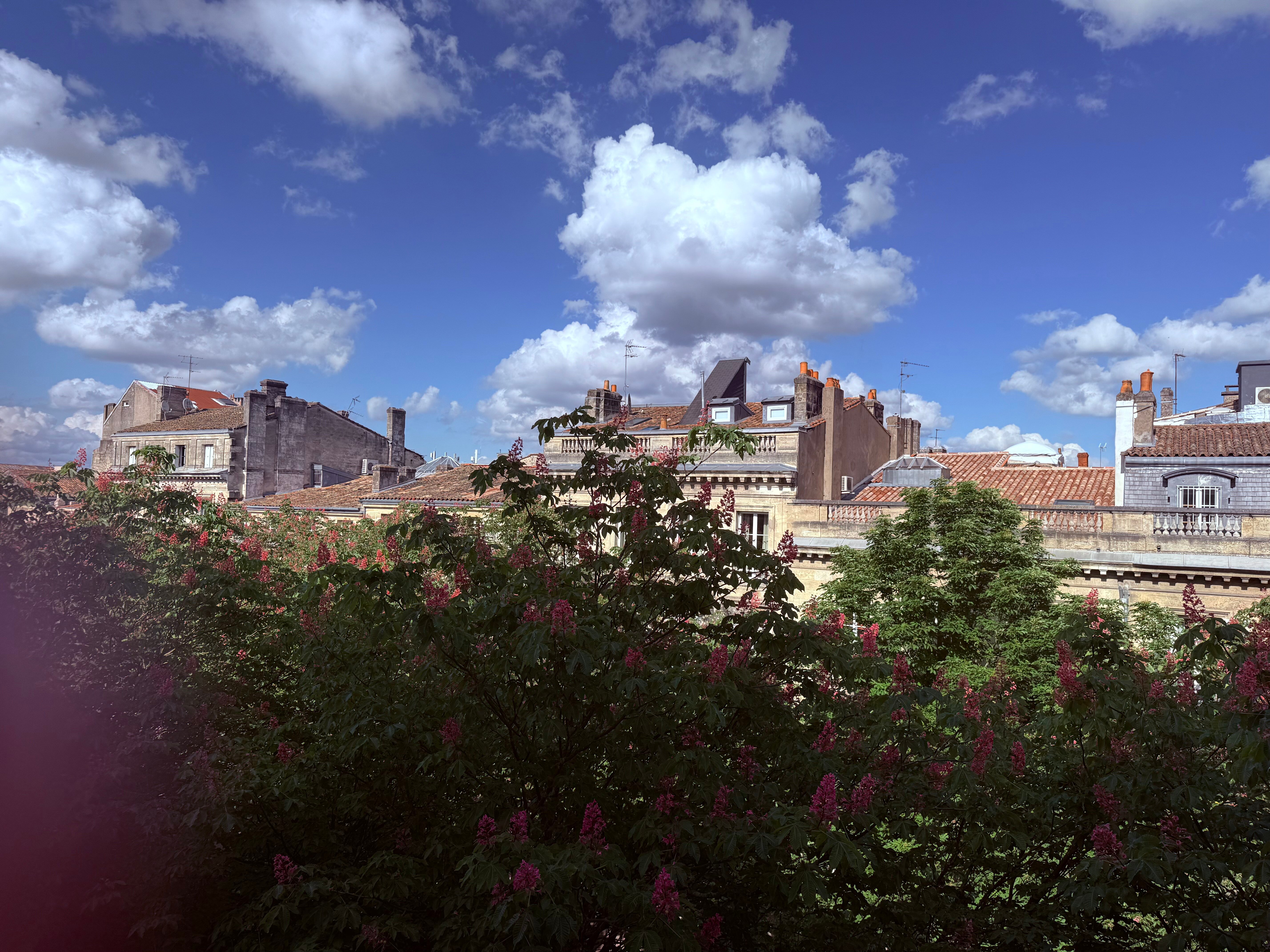 Villas Foch-酒店景观