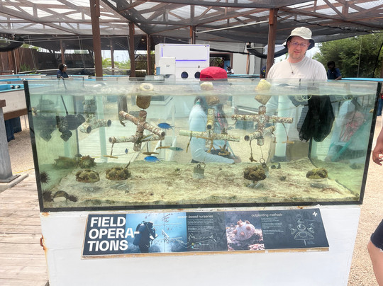 Coral Vita-弗里波特必去景点