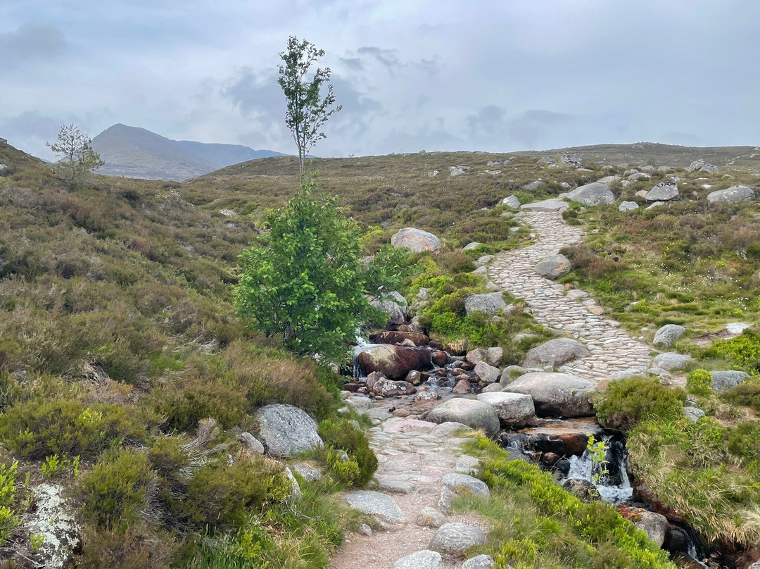 Coylumbridge Highland Lodges主图