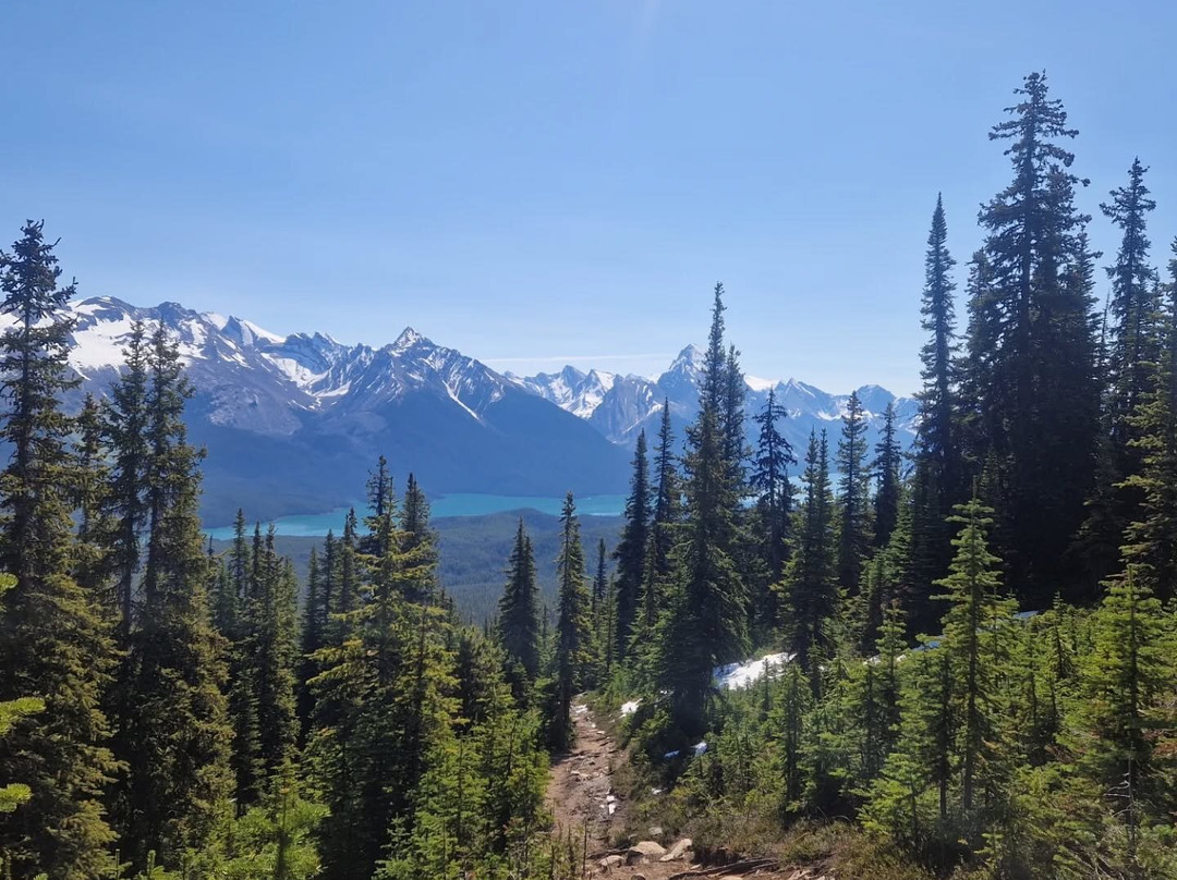 Bald Hills-贾斯珀必去景点