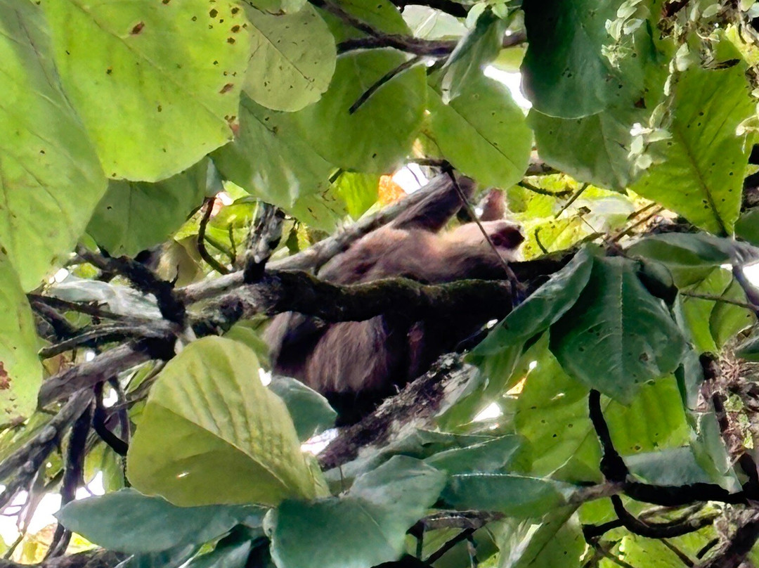 Pacific Trade Winds-Nuevo Arenal必去景点
