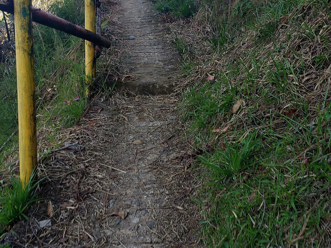 Iglesia La Inmaculada De Concepción-Concepción必去景点