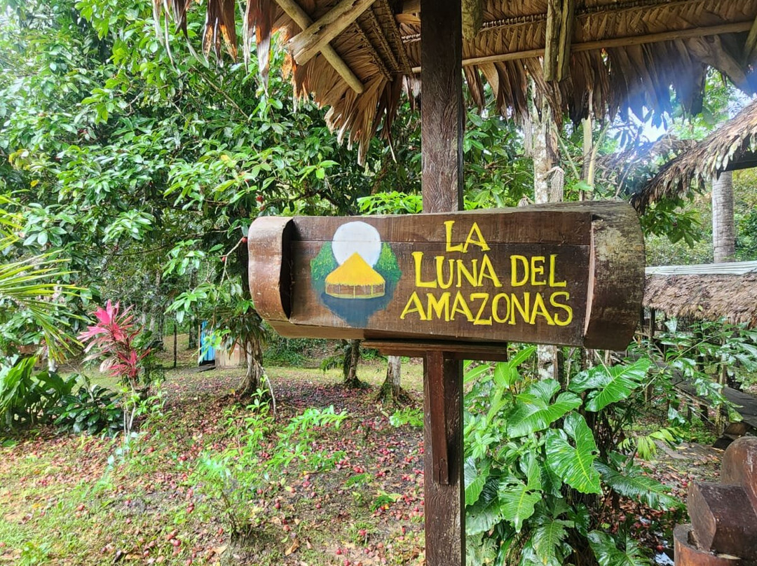 La luna del amazonas-伊基托斯必去景点