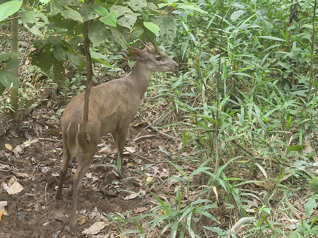 Amazon Shelter-马尔多纳多港必去景点