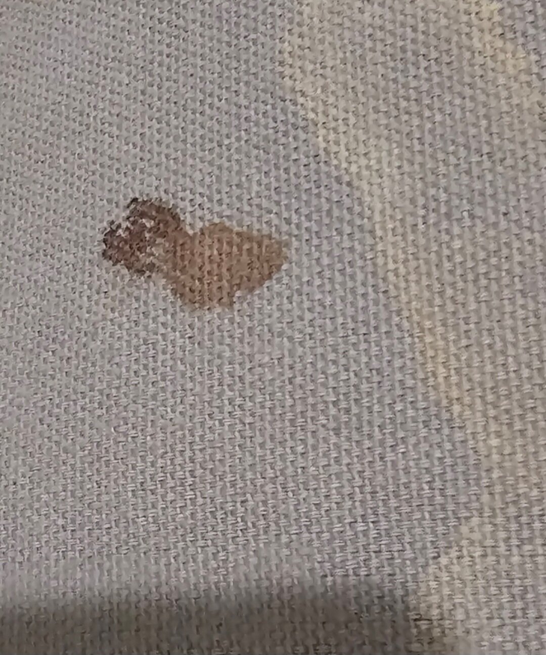 Brayford Guest House-官方