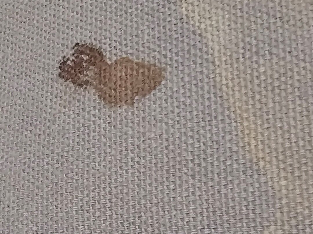 Brayford Guest House主图