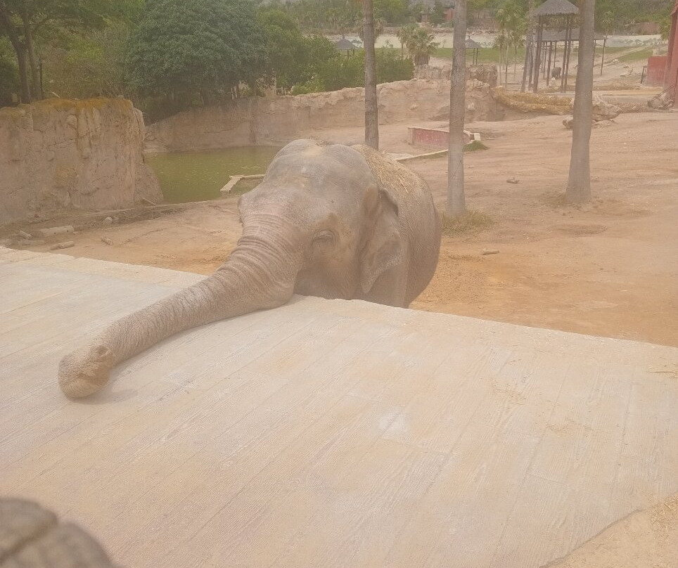 Terra Natura Benidorm-贝尼多姆必去景点