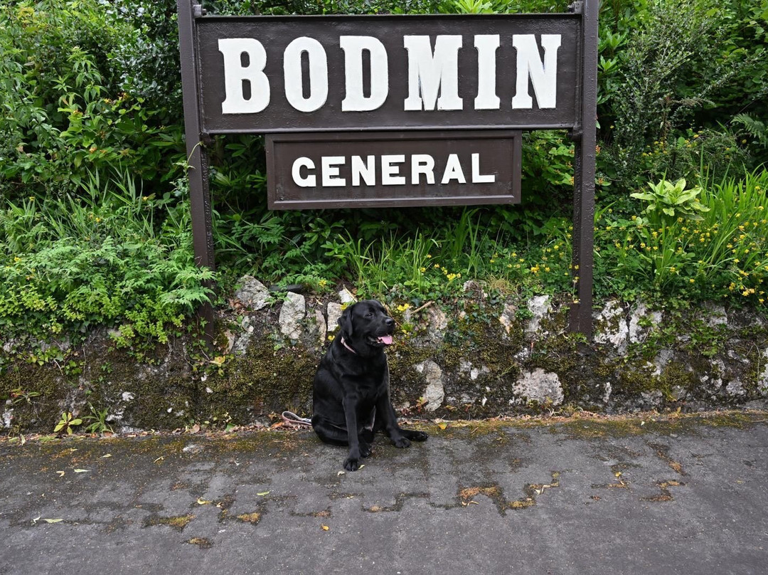 Bodmin & Wenford Railway-博德明必去景点