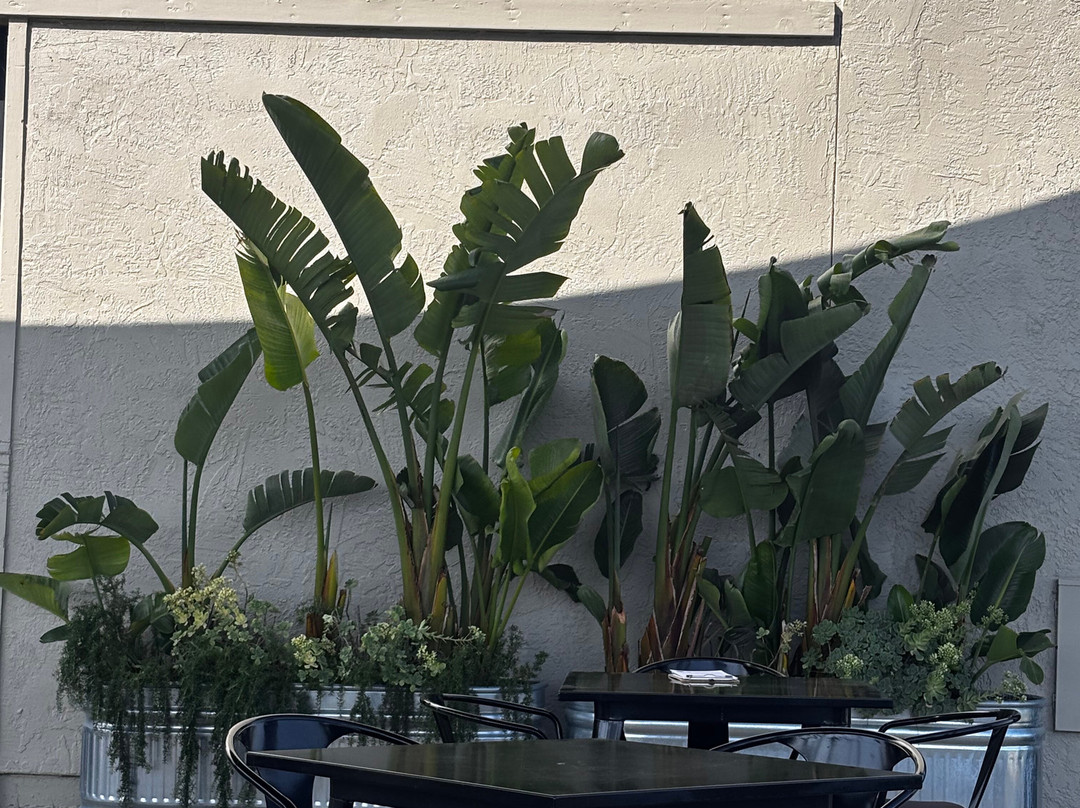 Chamisal Vineyards-圣路易斯-奥比斯波必去景点