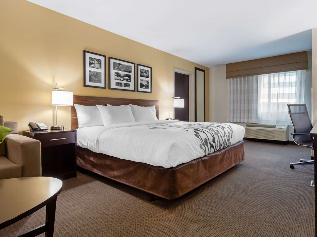 俾斯麦酒店住宿-Sleep Inn & Suites Bismarck I-94