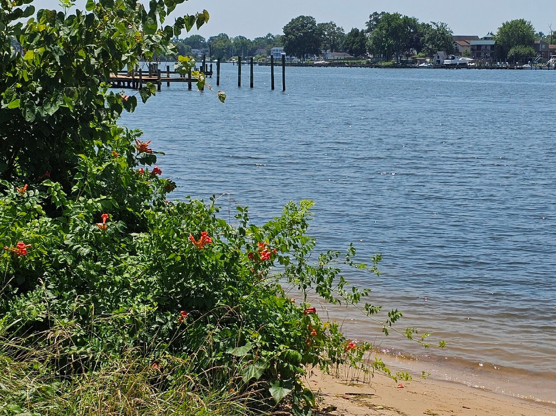 Wilson Point Park-Middle River必去景点