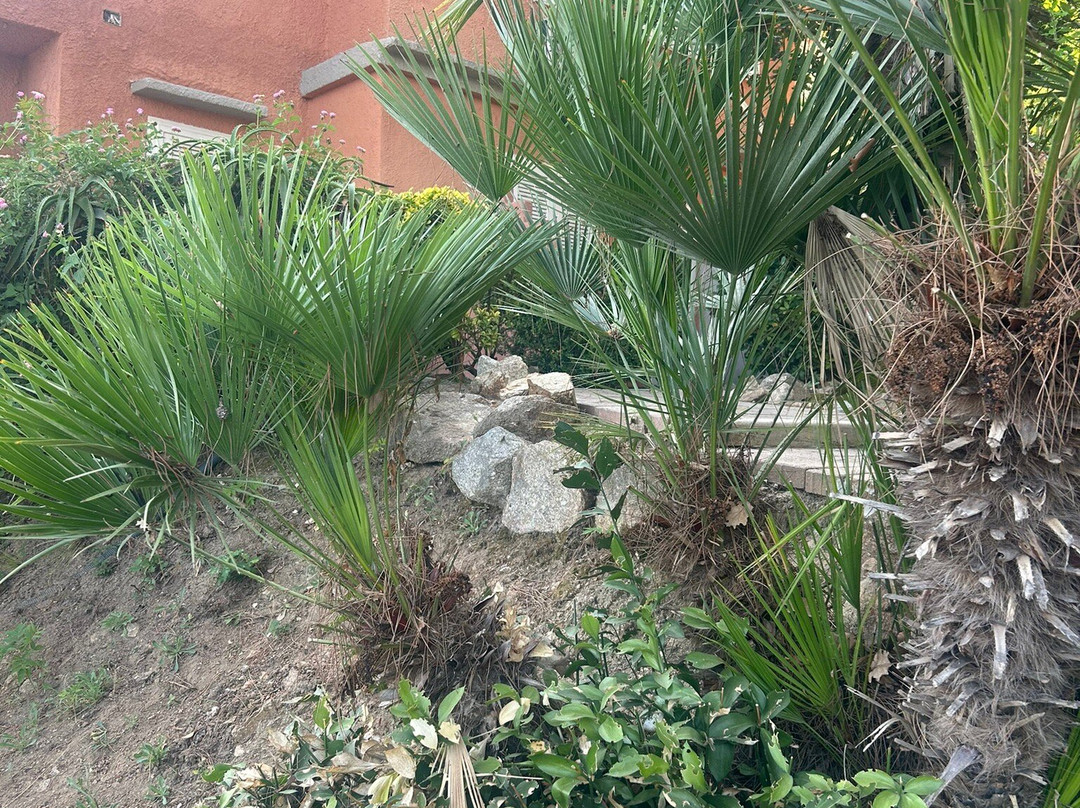 Giardino Marchese d'Altavilla Hotel主图