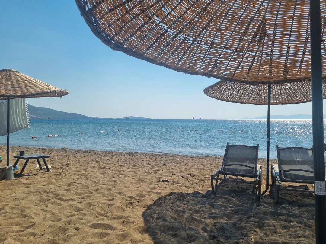 Un Sueno Beach-迪克利必去景点