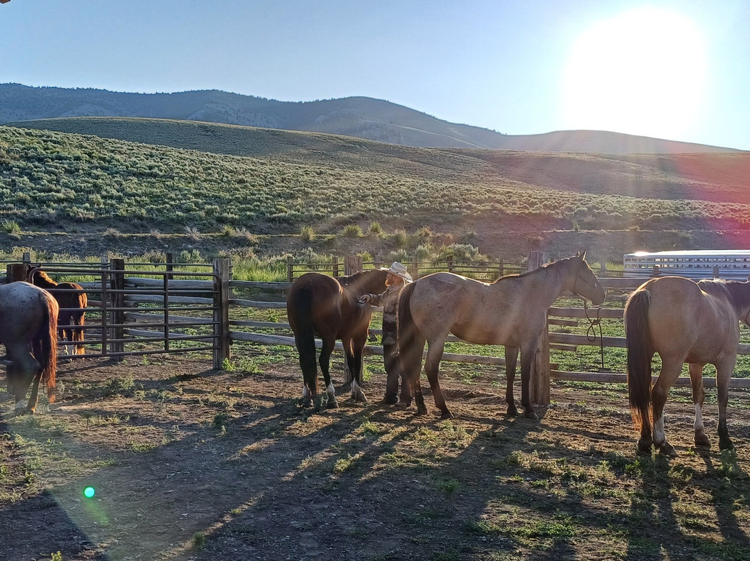 Silver Spur Ranch Idaho-Dubois必去景点
