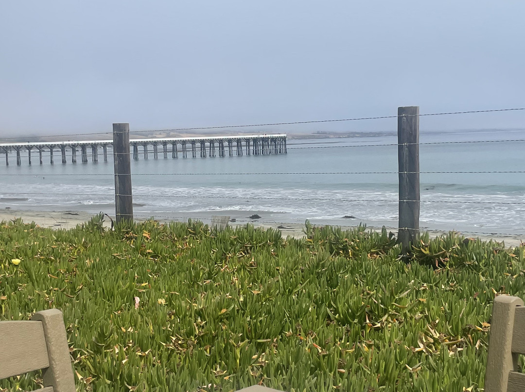 Hearst Ranch Winery-圣西蒙必去景点