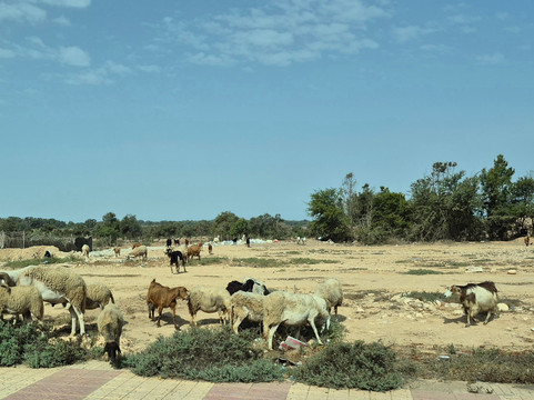 Tazwit tours-阿加迪尔必去景点