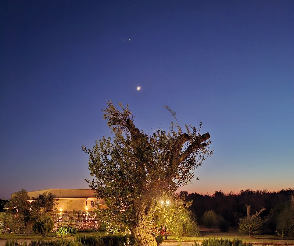 Tenuta Dorolivo Guest House e B&B