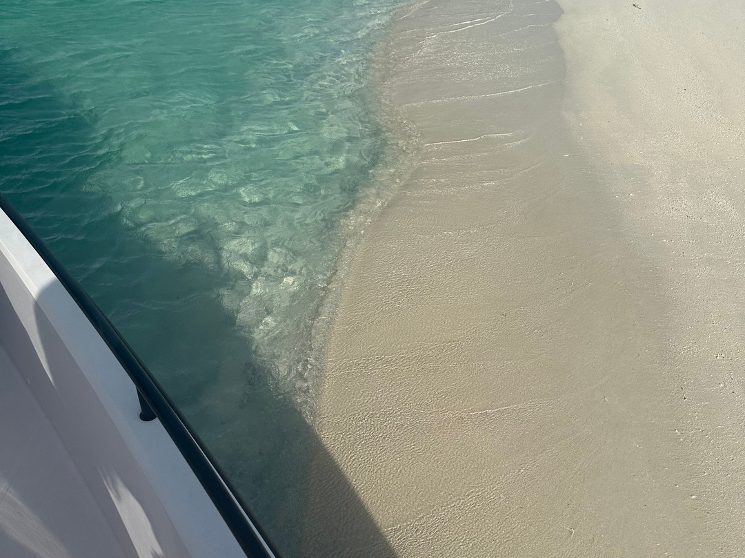 Moana Charters-普罗维登西亚莱斯必去景点