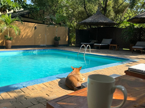 Acacia Village主图