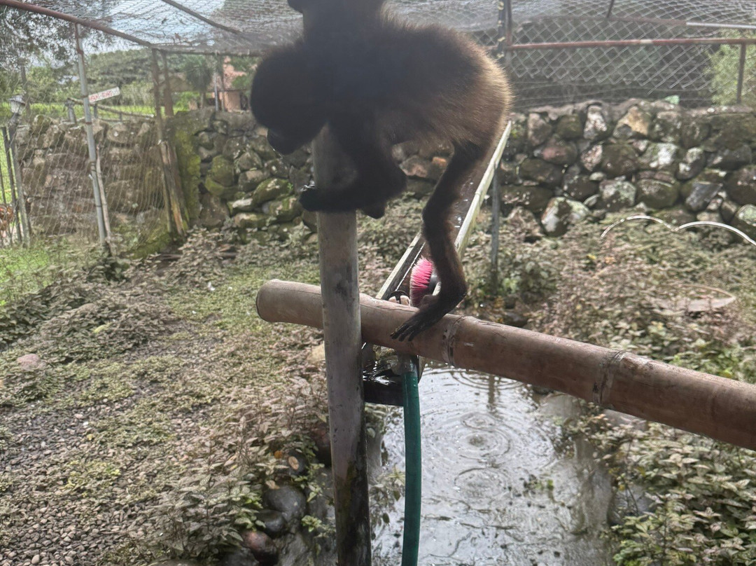 Jungla de Panama Wildlife Refuge-波魁特必去景点