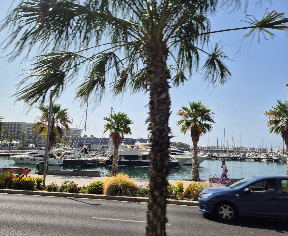 Paseo del Puerto Viejo-阿利坎特省必去景点