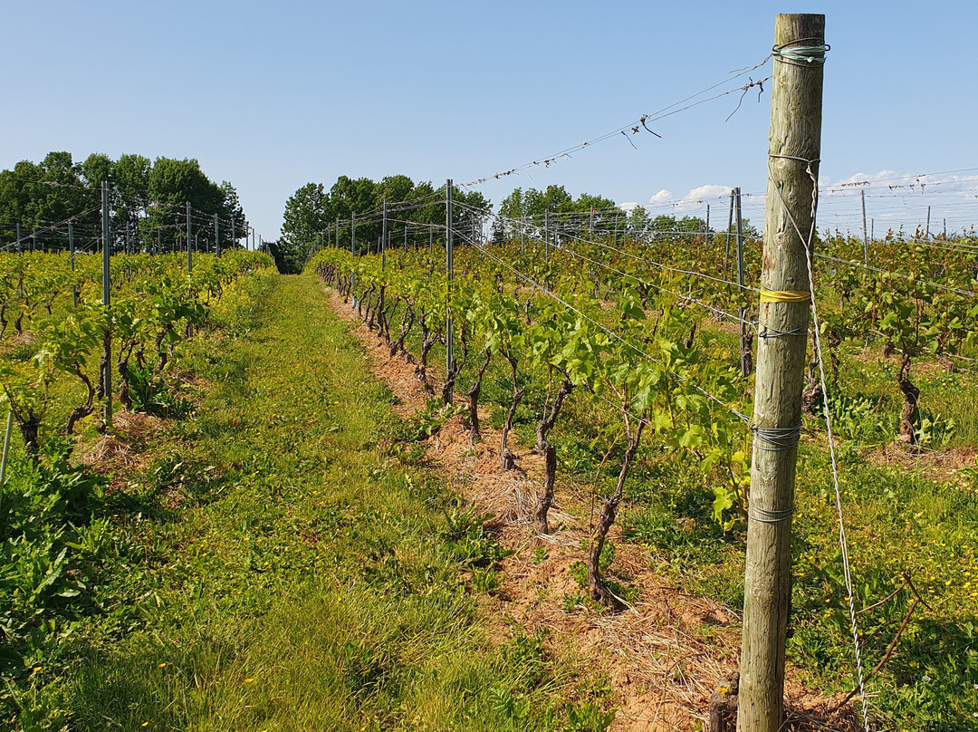 Domaine de Grand Pre-Grand Pre必去景点