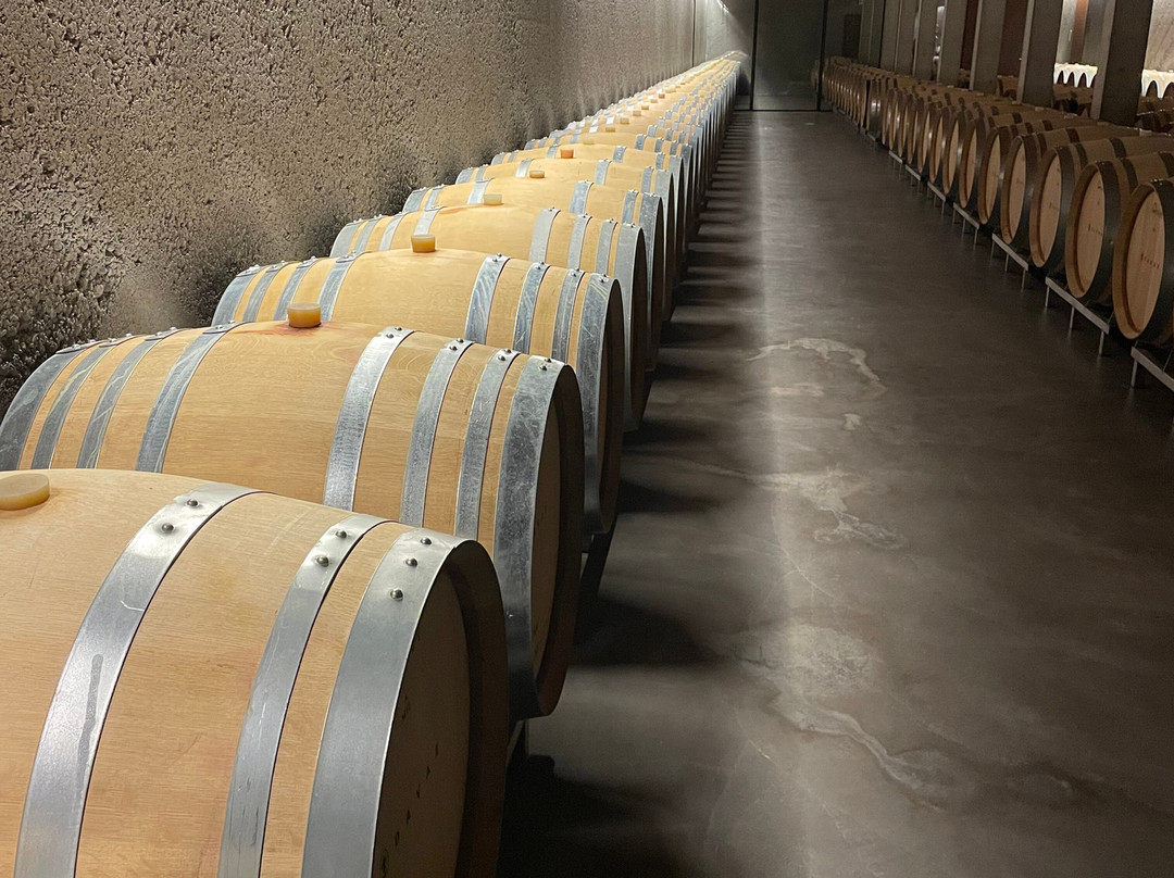 Wine Tours Switzerland-Maienfeld必去景点