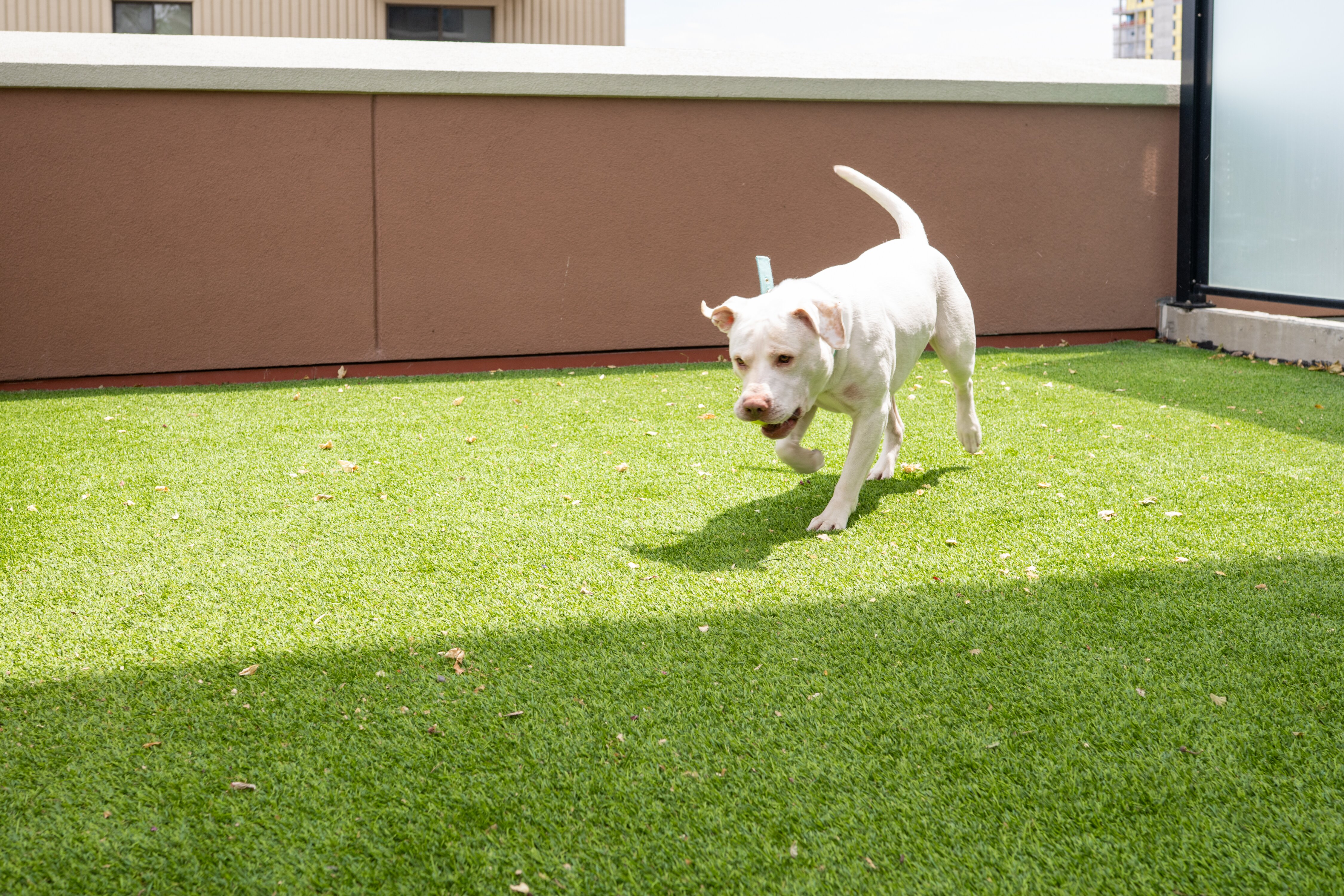 One Lakeside Hotel-浴室