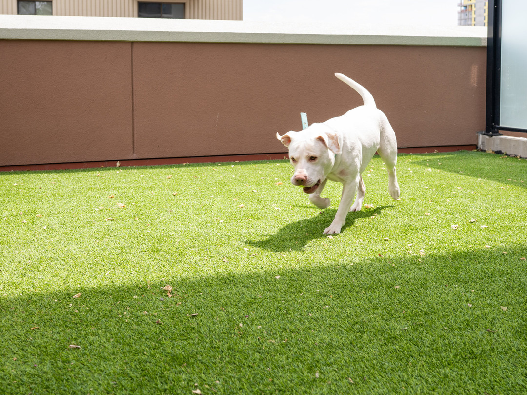 One Lakeside Hotel主图