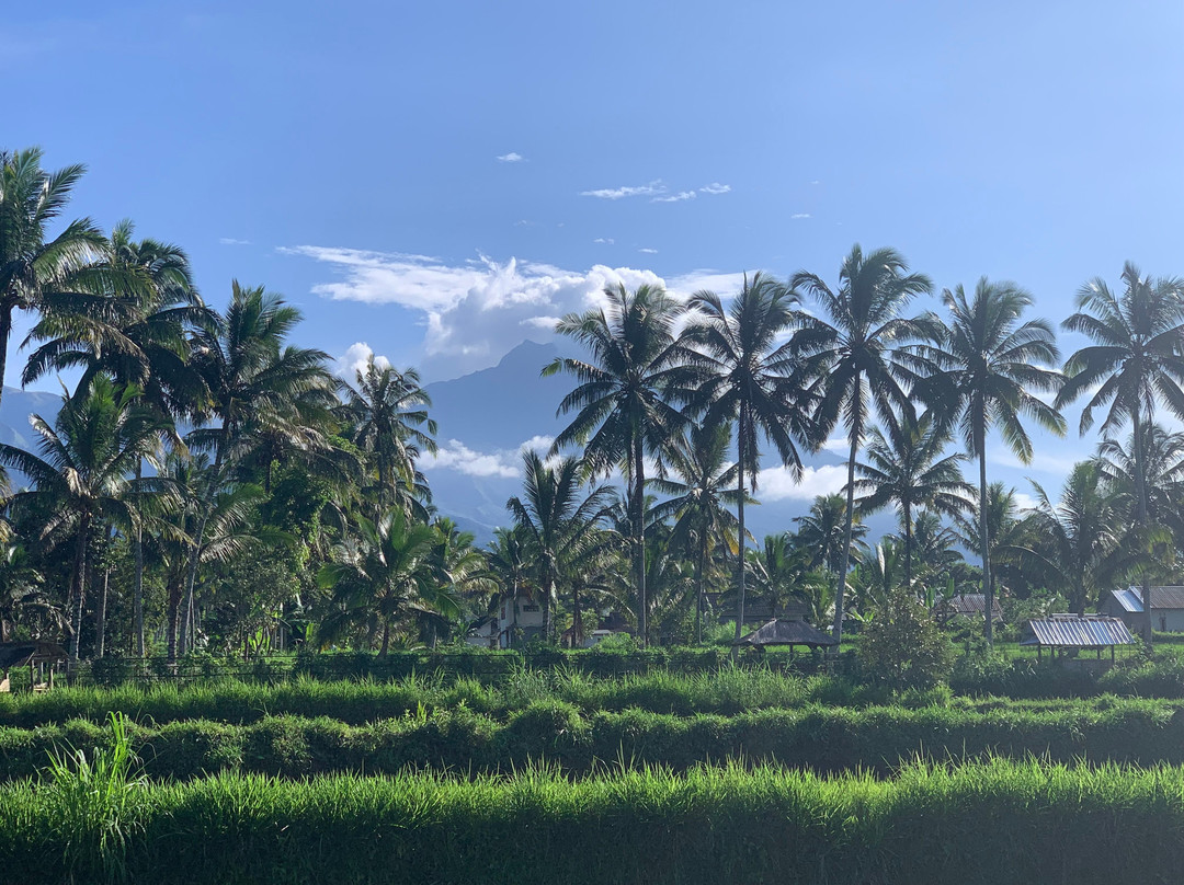 Les Rizieres Lombok主图