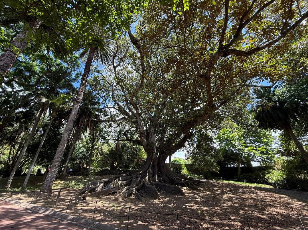 Jardim Botânico António Borges-蓬塔德尔加达必去景点
