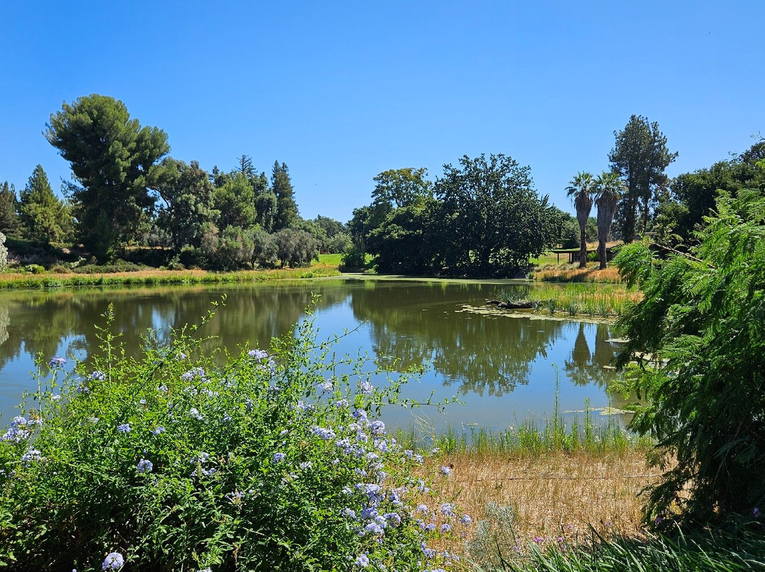 戴维斯大学植物园-戴维斯必去景点