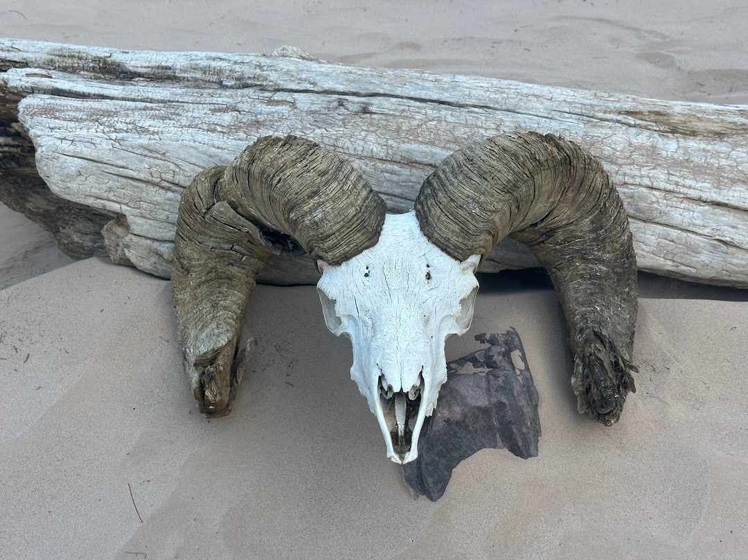 Oars Grand Canyon-弗拉格斯塔夫必去景点