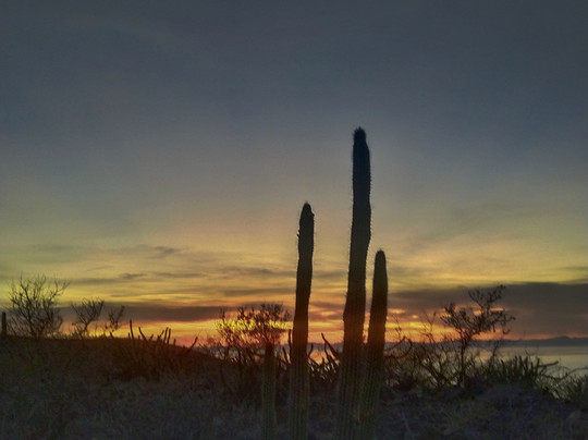 Mexico Travel Adventure-拉巴斯必去景点