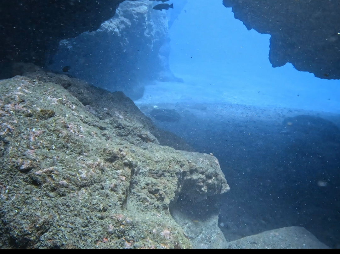 Atalaia Diving Center-Canico必去景点