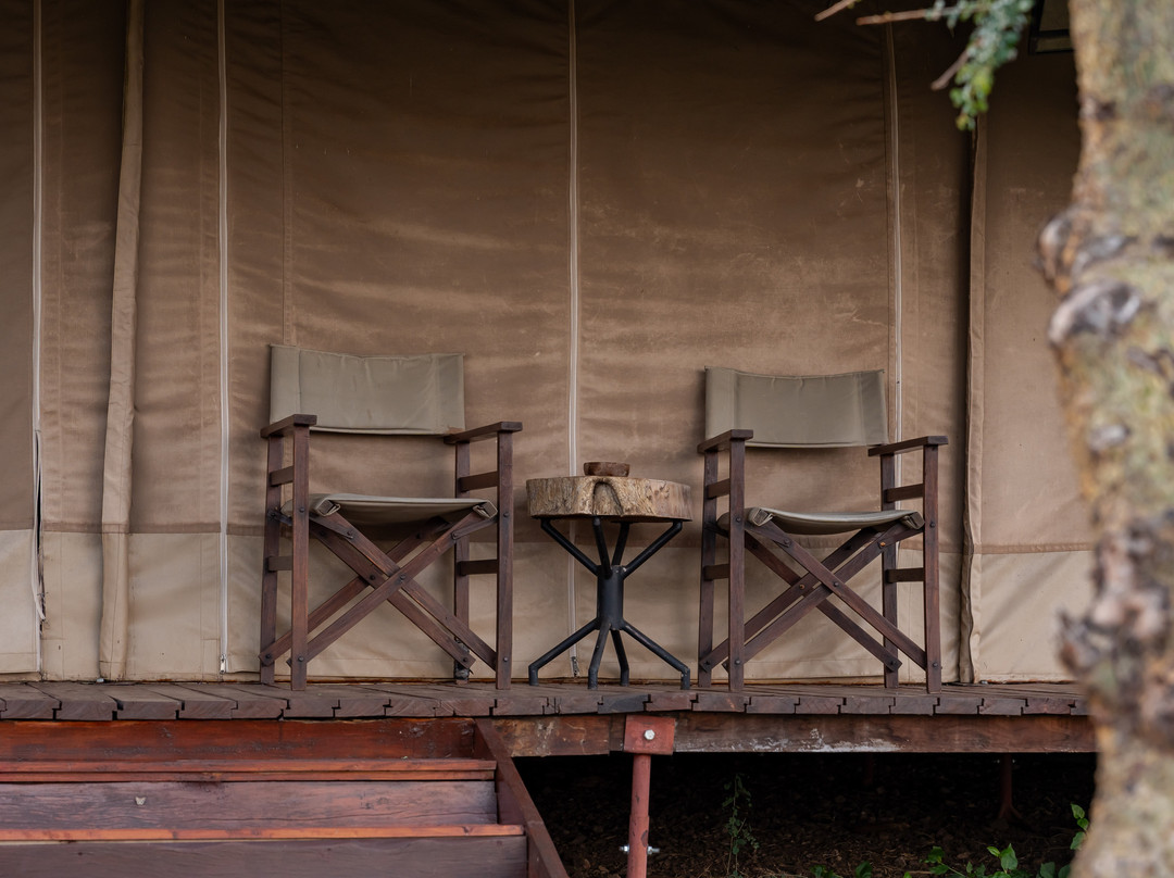 Matawi Serengeti Camp