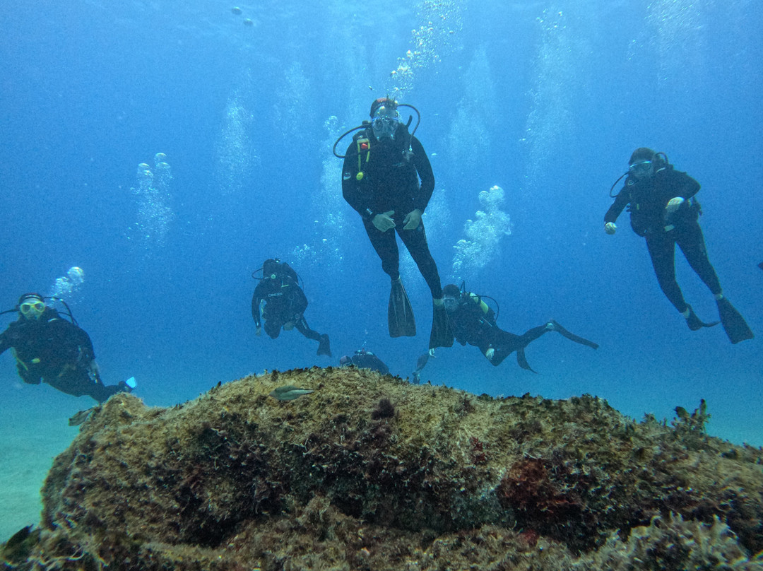 Museo Atlántico Underwater Museum-布兰卡滩必去景点