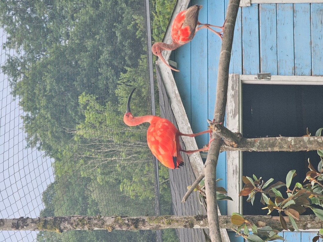 Exotic Park-Lescar必去景点