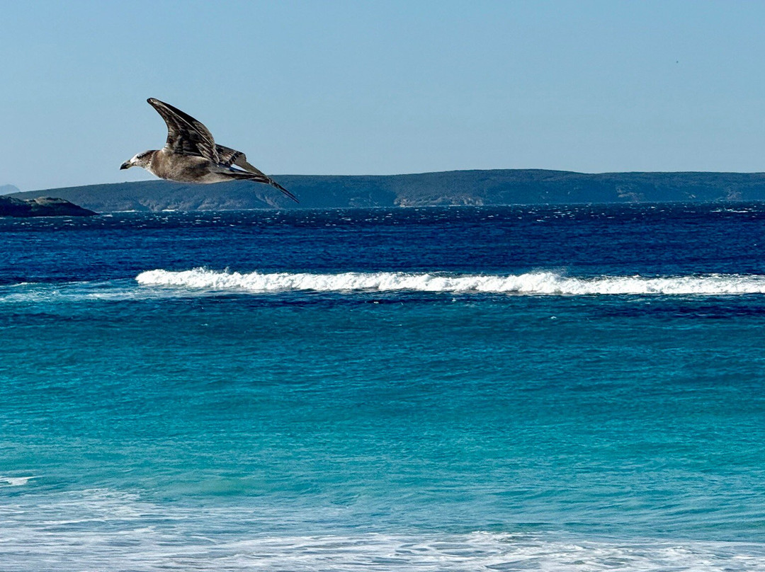 Bremer Bay Resort主图