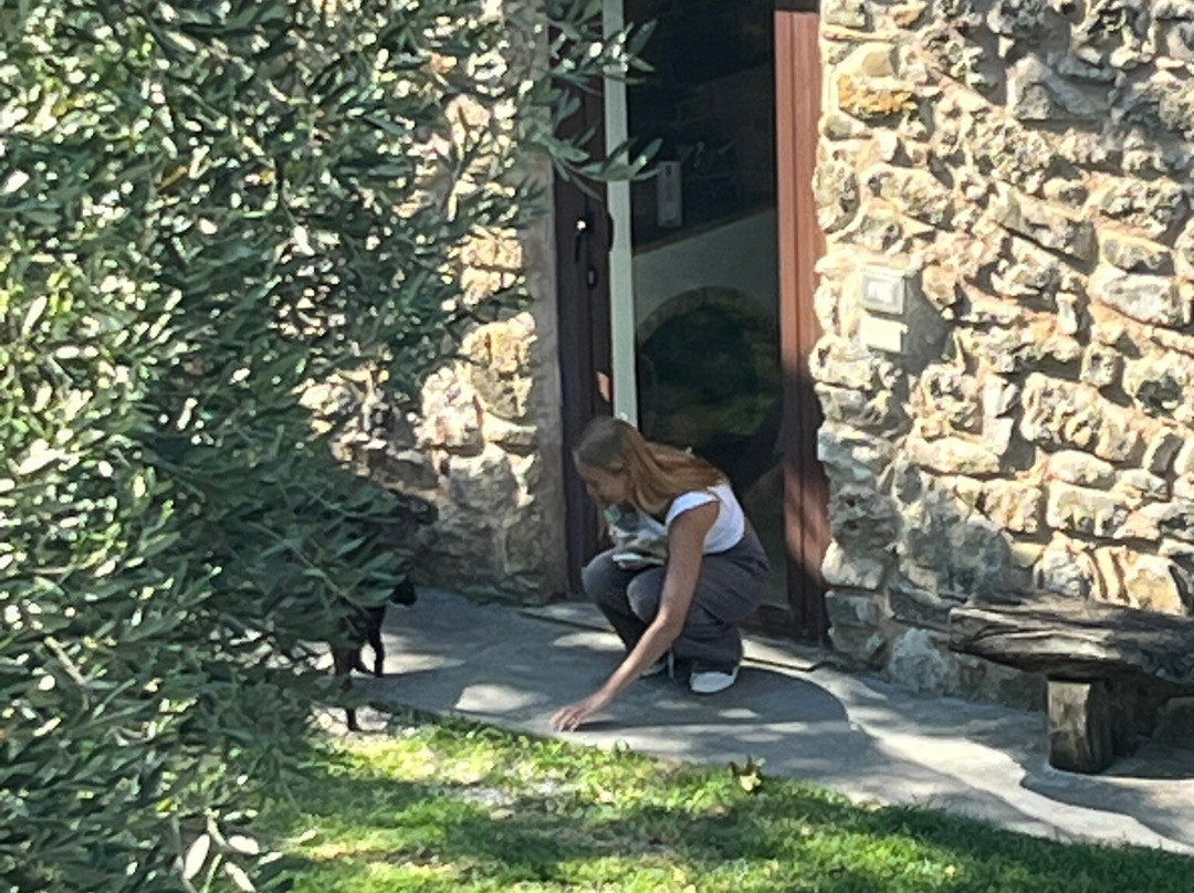 Casa Agricola Scorziello主图